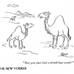 toon_03